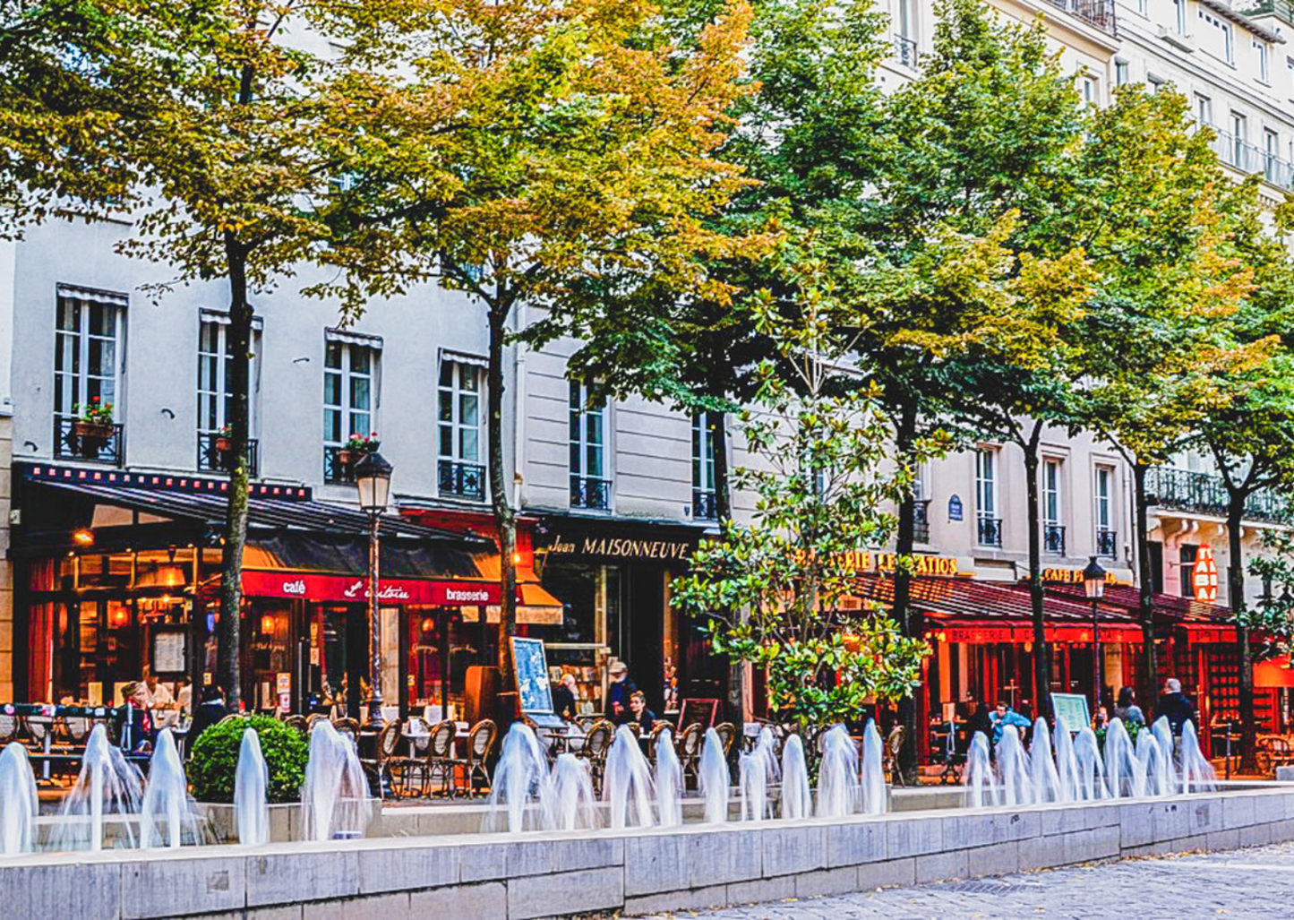 Stroll in the Heart of Paris: By Day or At Night (Notre Dame, Île de la Cité and Latin Quarter)